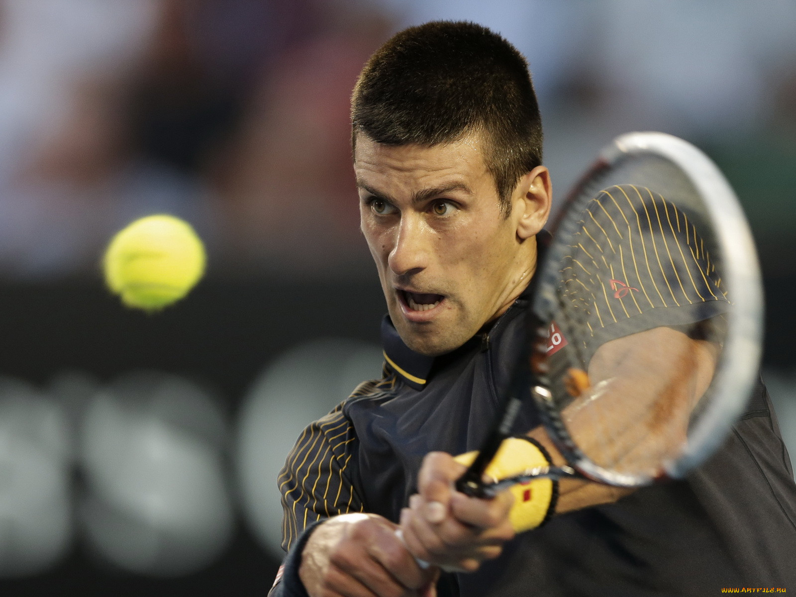 , , novak, djokovic